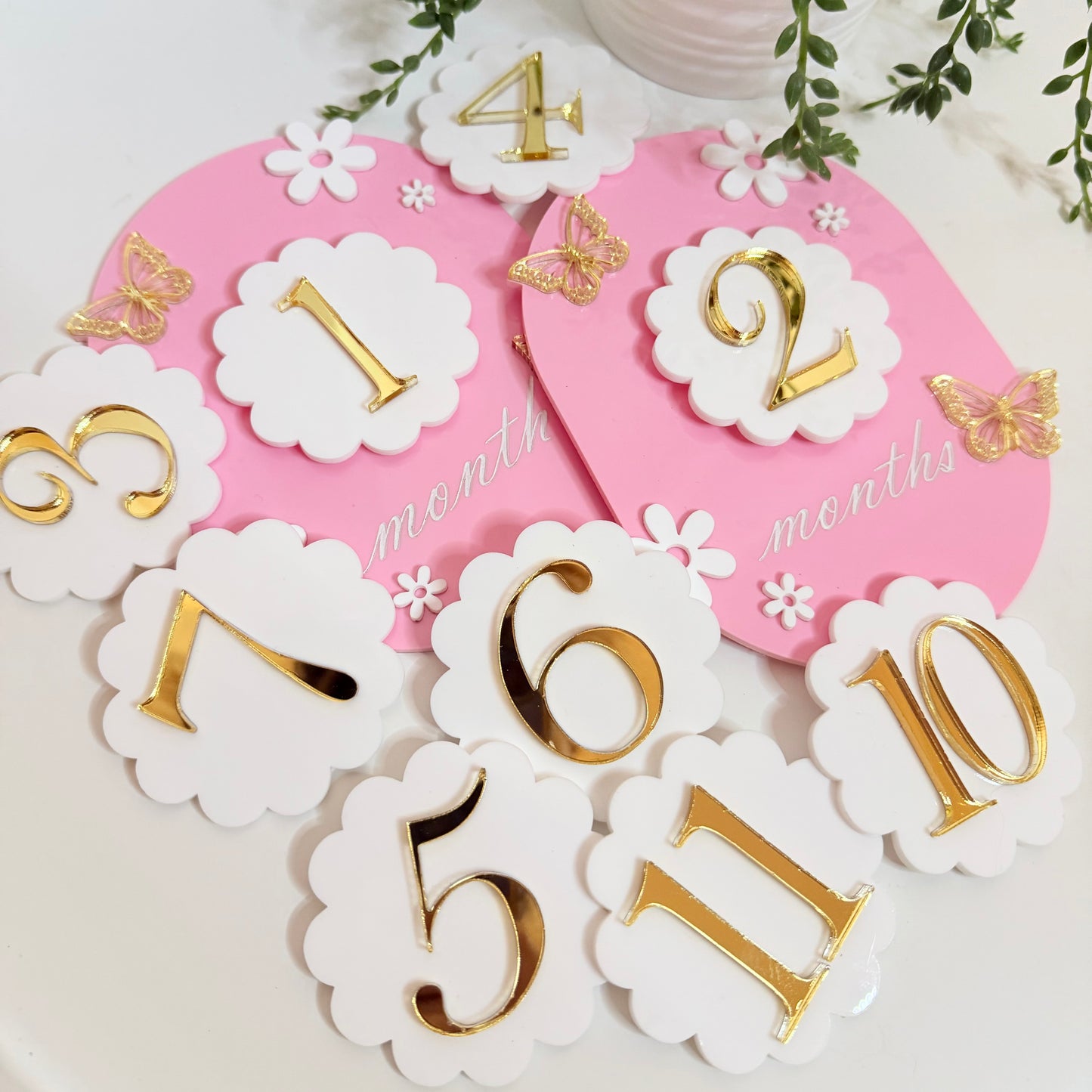 Baby Milestone Set - Butterflies & Flowers
