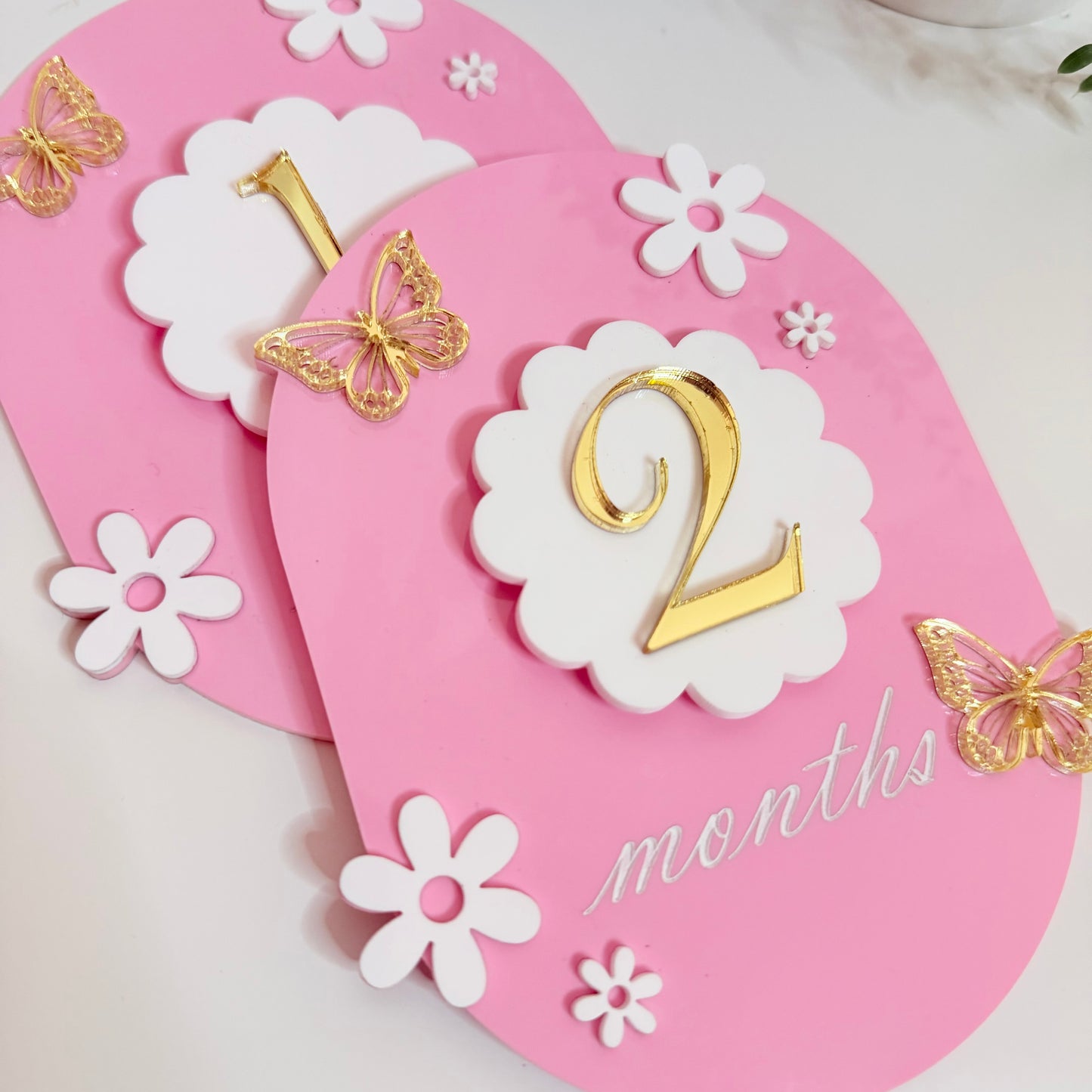 Baby Milestone Set - Butterflies & Flowers